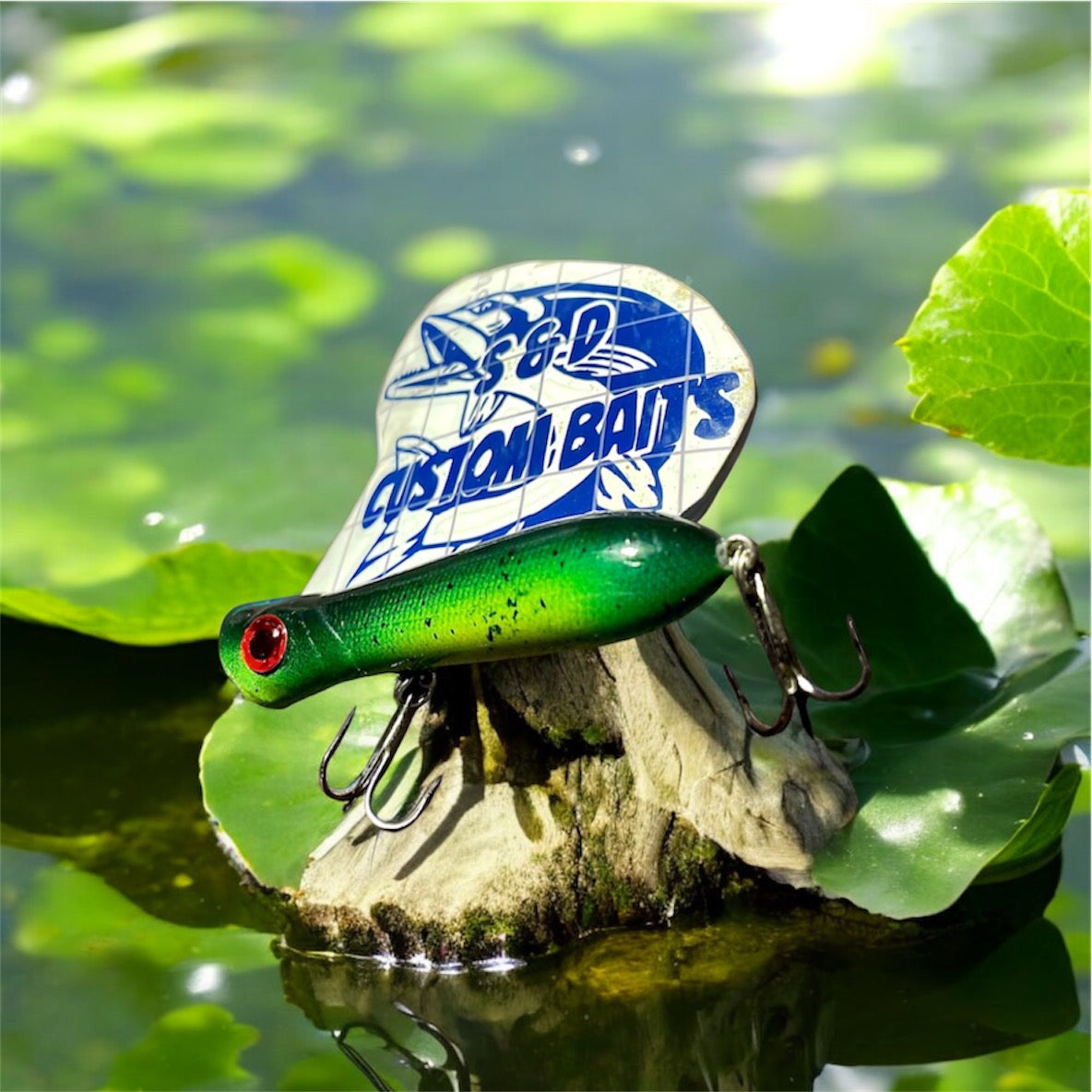 Topwater Poppers (Multiple Variants)