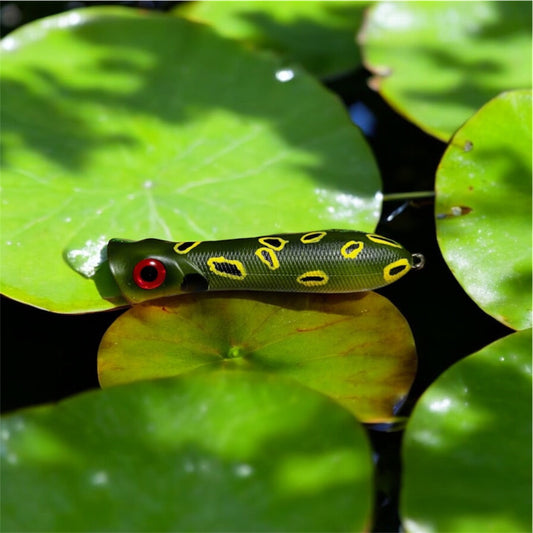 Topwater Poppers (Multiple Variants)